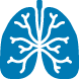 lungs@2x